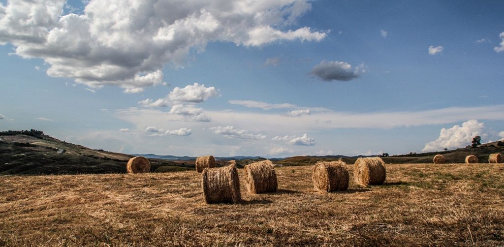 A Day in Chianti: Siena and Tuscany