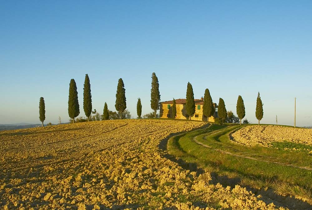 Chianti in one day - Excursions from Florence