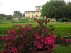 image-slider-with-thumbnail3.jpeg