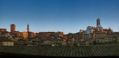 image-slider-with-thumbnail2.jpeg