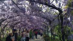 image-slider-with-thumbnail2.jpeg